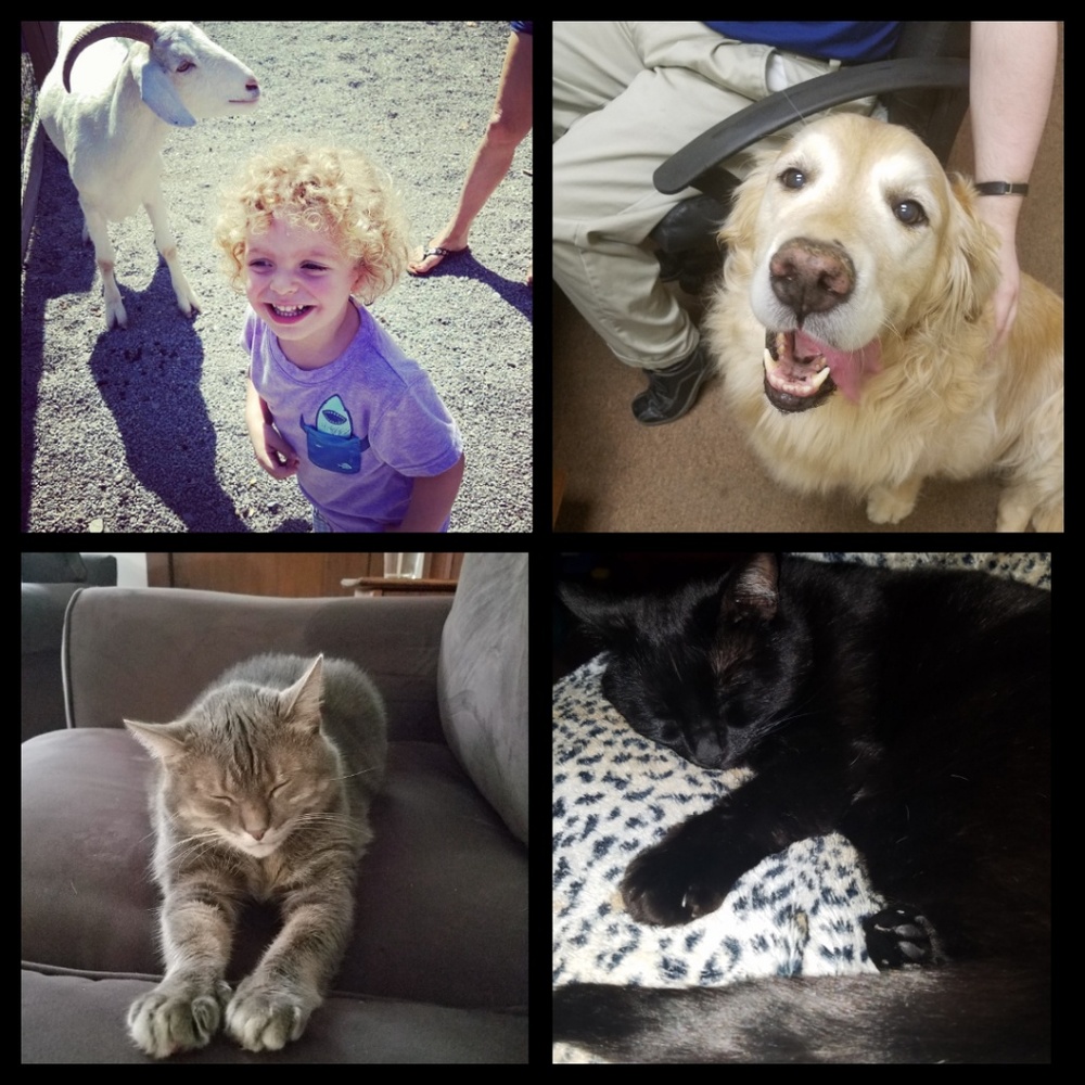 Pet and child household